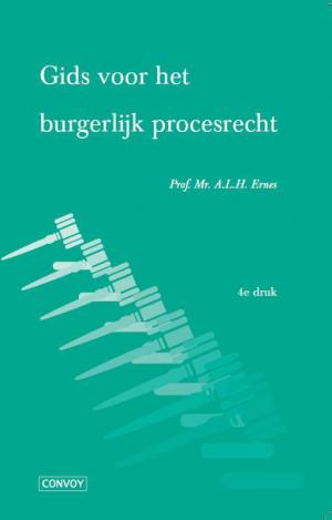 Gids voor het burgerlijk procesrecht